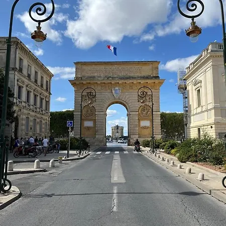 Cabanel : Nid Douillet Perche En Plein Centre Historique * Montpellier
